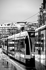 Trams Amsterdam