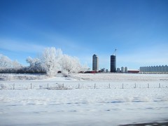 Calgary Christmas Landscapes