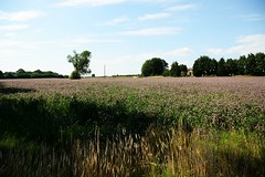 John Hunt's farm, Orton