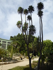The Botanical Gardens, Cagliari