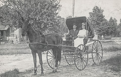 Horse-Drawn Carriages
