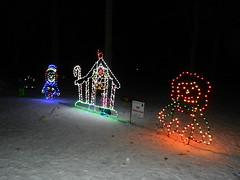 Sparkles in the Park Dec.31'15