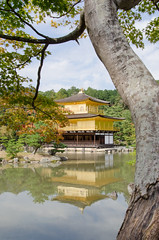 Kyoto 2016 - 2