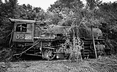 lost trains of Galt and LaSalle,IL.