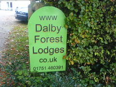 DALBY FOREST OCTOBER 2015