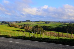 Auckland Region, North Island