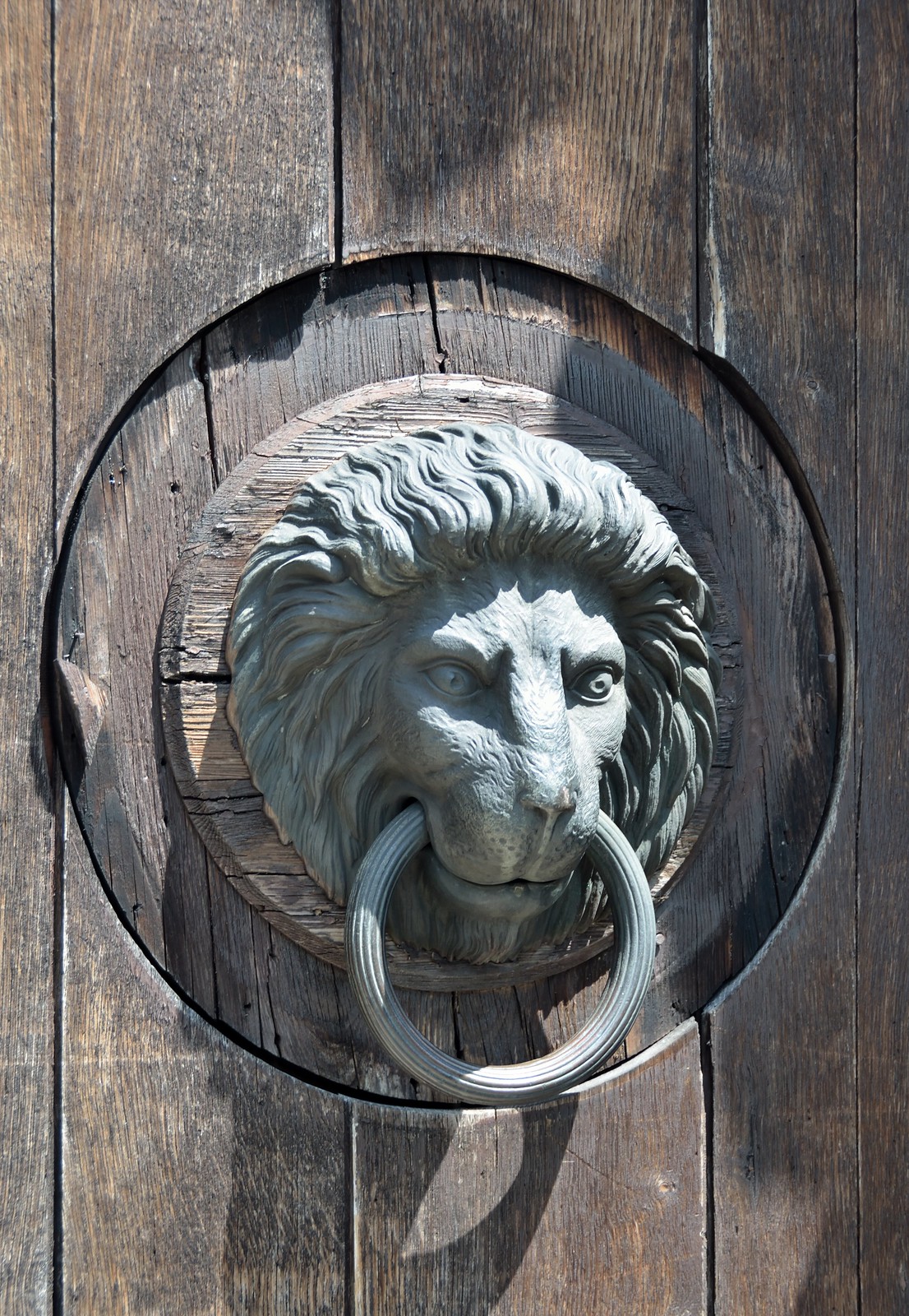 Lion head door knocker at the main entrance of Burg Neulengbach Castle, Lower Austria