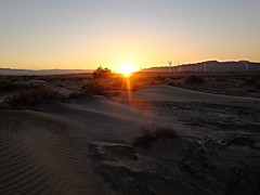 Anza-Borrego desert SP, Kalifornien