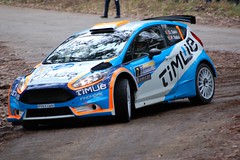 Ford Fiesta R5 Chassis 033 (Not active since 2014)