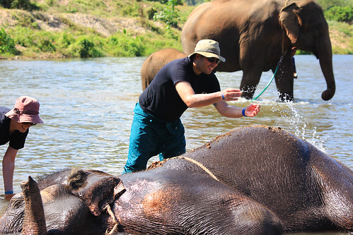 Mae Teng: Woody Elephant Training