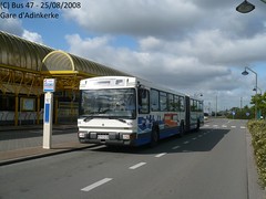 Dk Bus