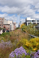High Line 2016-10-23