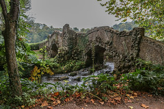 Dunster Castle Gardens and Exmoor