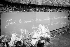 Cimentière Marin Georges Braque