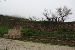 Chafariz de Santo Apolinário ou Fonte Santa em Urros, Torre de Moncorvo