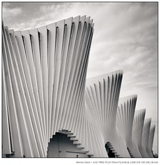 Calatrava At Reggio