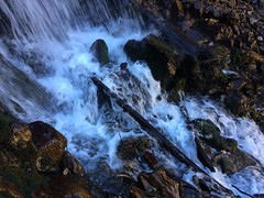 October 21, 2016 (Provo Canyon/Upper Falls)