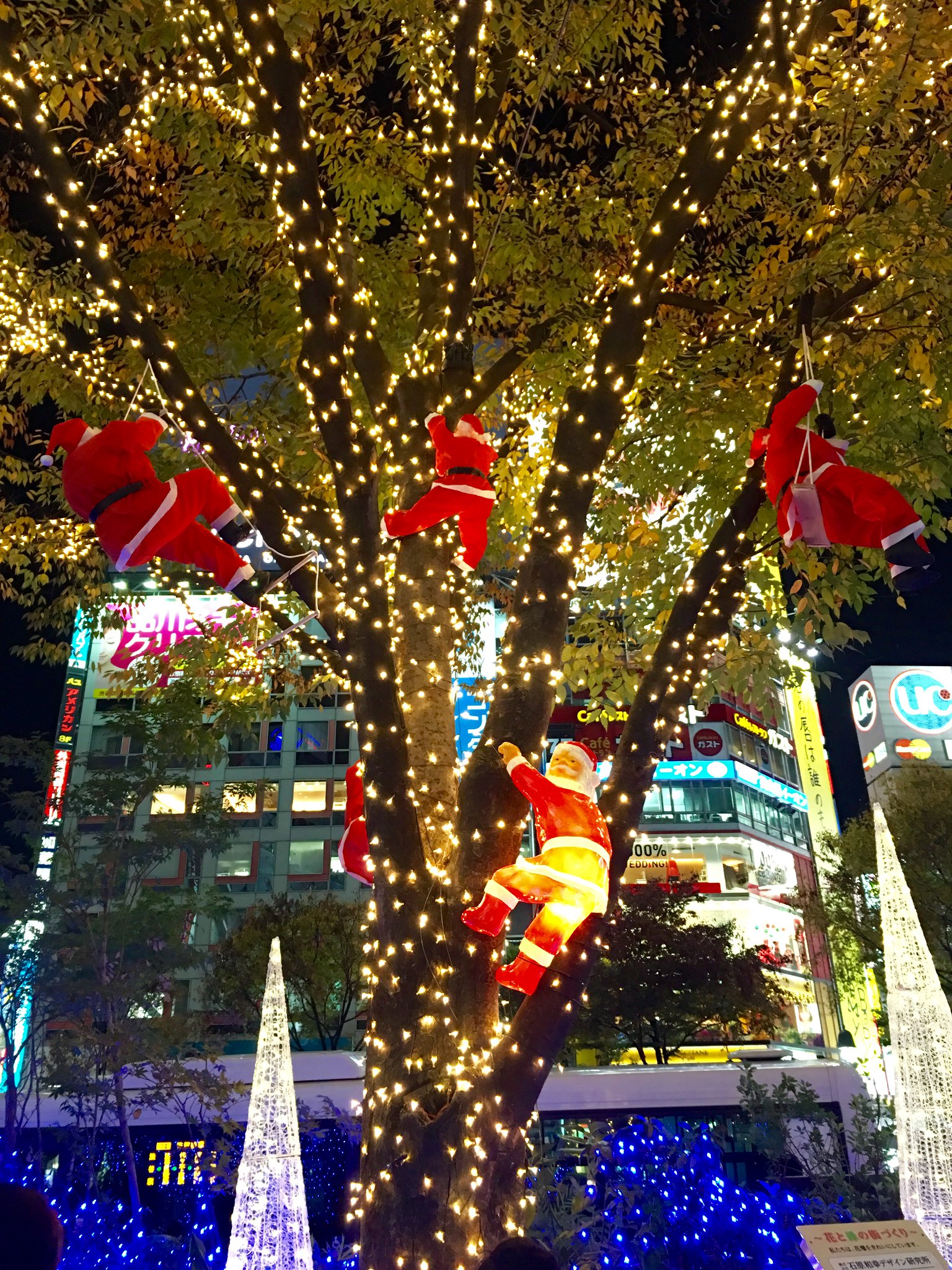 Hachiko and Christmas illumination