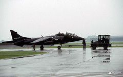 Harrier / Sea Harrier