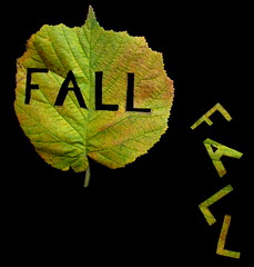 Autumn - Fall 2