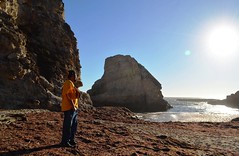 Our Spontaneous Trip To Shark Fin Cove in Davenport, CA (10-20-2016)