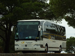 Bus and Coach PostAuto / PostBus / CarPostal