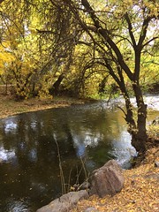 October 16, 2016 (Provo River Trail)