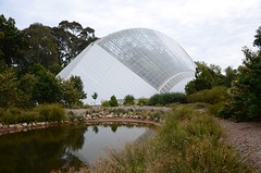 Adelaide Botanic Garden, 7 October 2016
