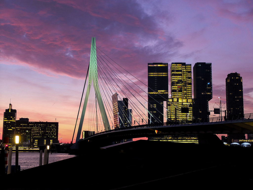 Rotterdam (19 of 44).jpg