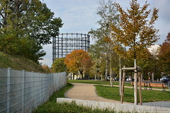 Der Cheruskerpark