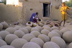 Rajasthan 1996