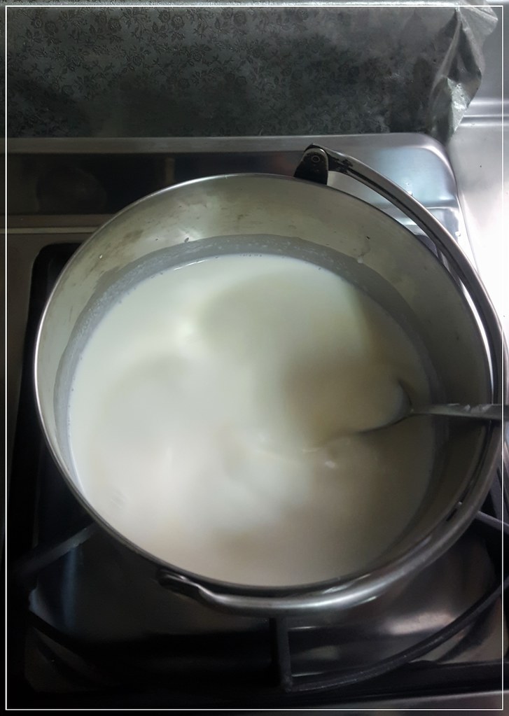 脆皮炸鮮奶 (4)