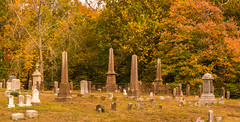 Color in the East Cemetery IV
