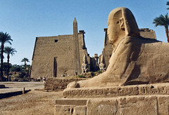 1999.10 EGYPTE - LUXOR - Temple d'Amon