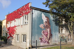 Mural / Street art / Graffiti