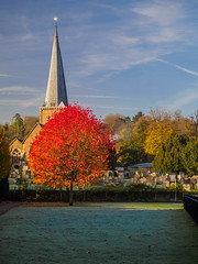 Surrey Churches