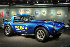 Cobra Experience Museum