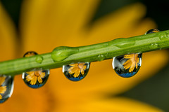 water droplets