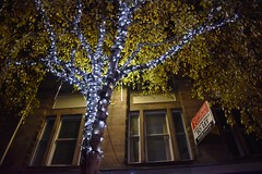 Carlisle Christmas Lights 2016
