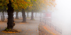 Foggy Morning at The Groves, Chester (3rd Oct 2015)