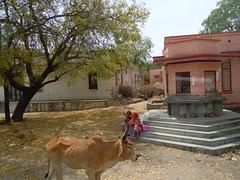 7 Vatrena dolina, near Ranakpur, Rajasthan