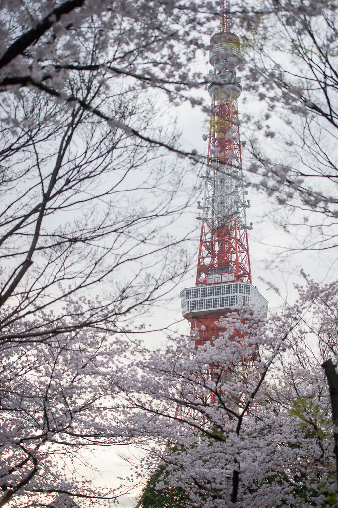 MAC_1716 東京鐵塔