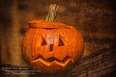 Spooky Halloween !
