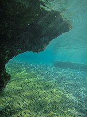 Kythira Underwater 2015