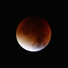 Super Blood Moon Eclipse / Mondfinsternis