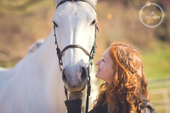 Horse Love 