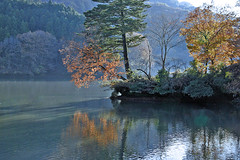 Colored Autumn 紅葉列島