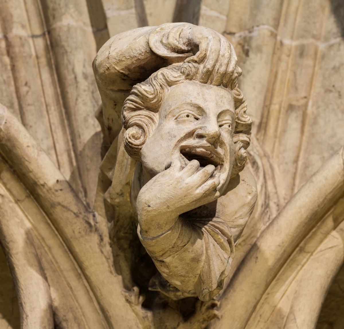 Grotesque on the wall of the chapter house. Credit David Iliff