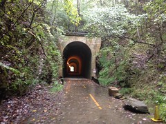 Rainy Brushy Mountain Tunnel 