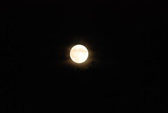 2015.09.27; Super Blood Moon Eclipse